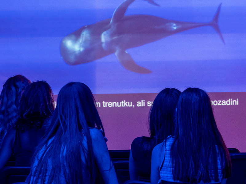 NEUM UNDERWATER FESTIVAL – festival podvodne čarolije i mediteranskog duha